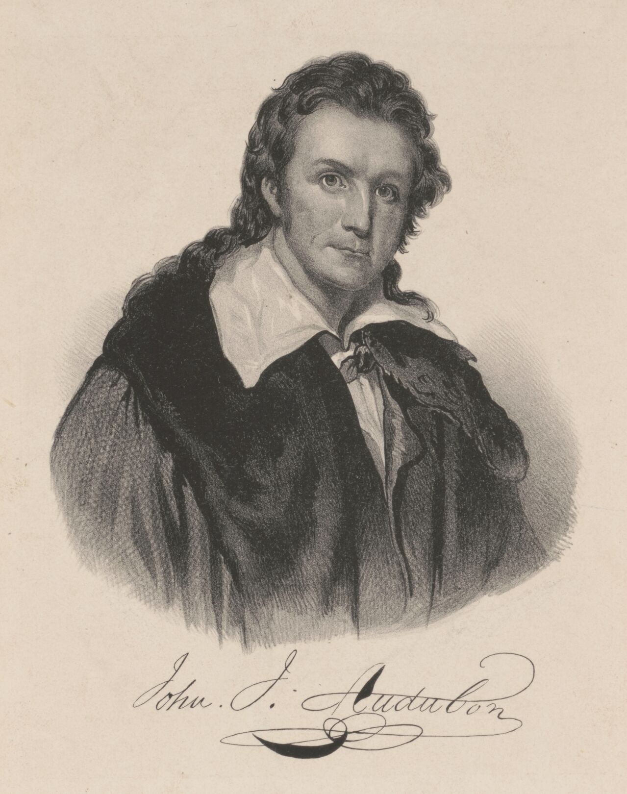 audubon